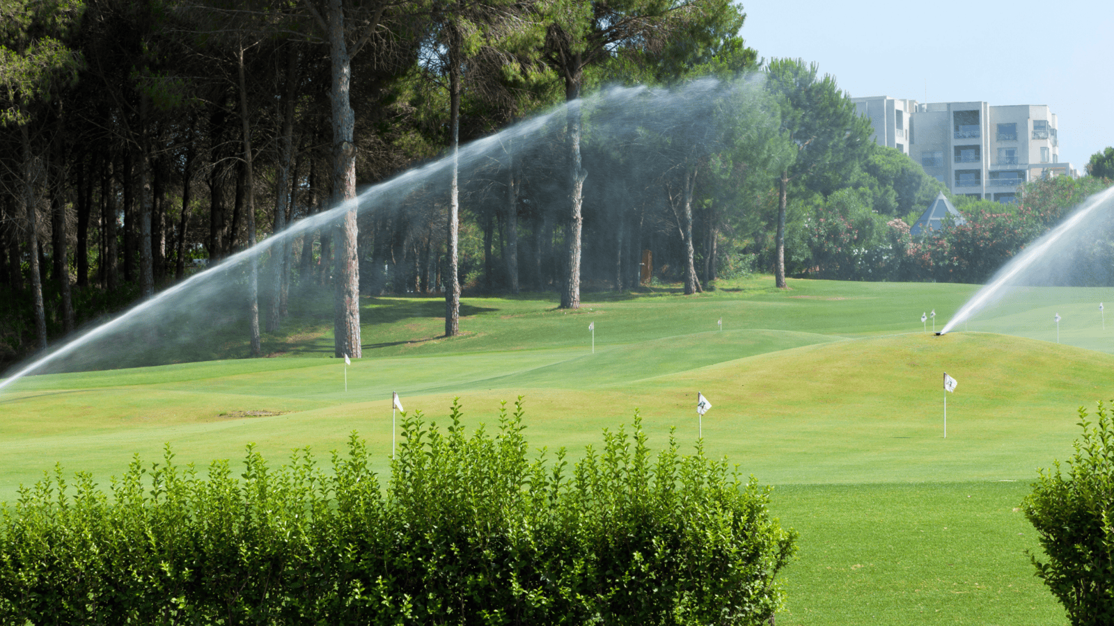 Rethinking Water Conservation in Golf Course Management